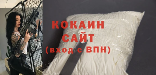 ПСИЛОЦИБИНОВЫЕ ГРИБЫ Заводоуковск