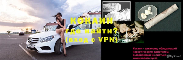 ПСИЛОЦИБИНОВЫЕ ГРИБЫ Заводоуковск