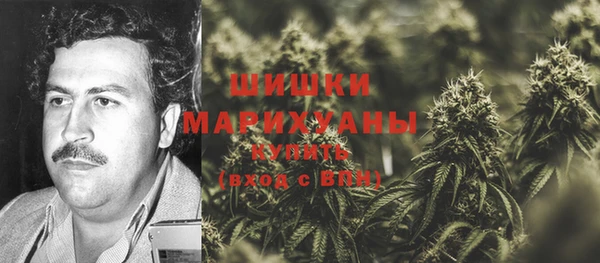 МДПВ Зеленодольск