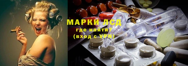 ПСИЛОЦИБИНОВЫЕ ГРИБЫ Заводоуковск