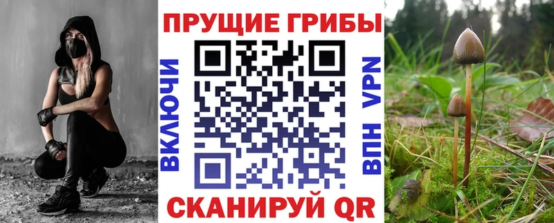 Псилоцибиновые грибы мухоморы  Купить где  Иланский 